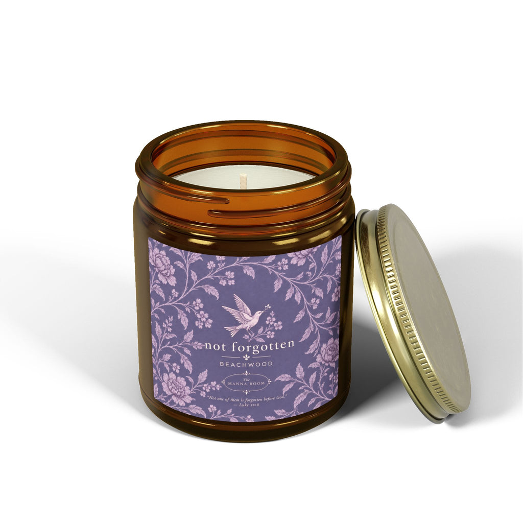 Coconut Apricot Scented Candle — 9oz Amber Jar (Not Forgotten)